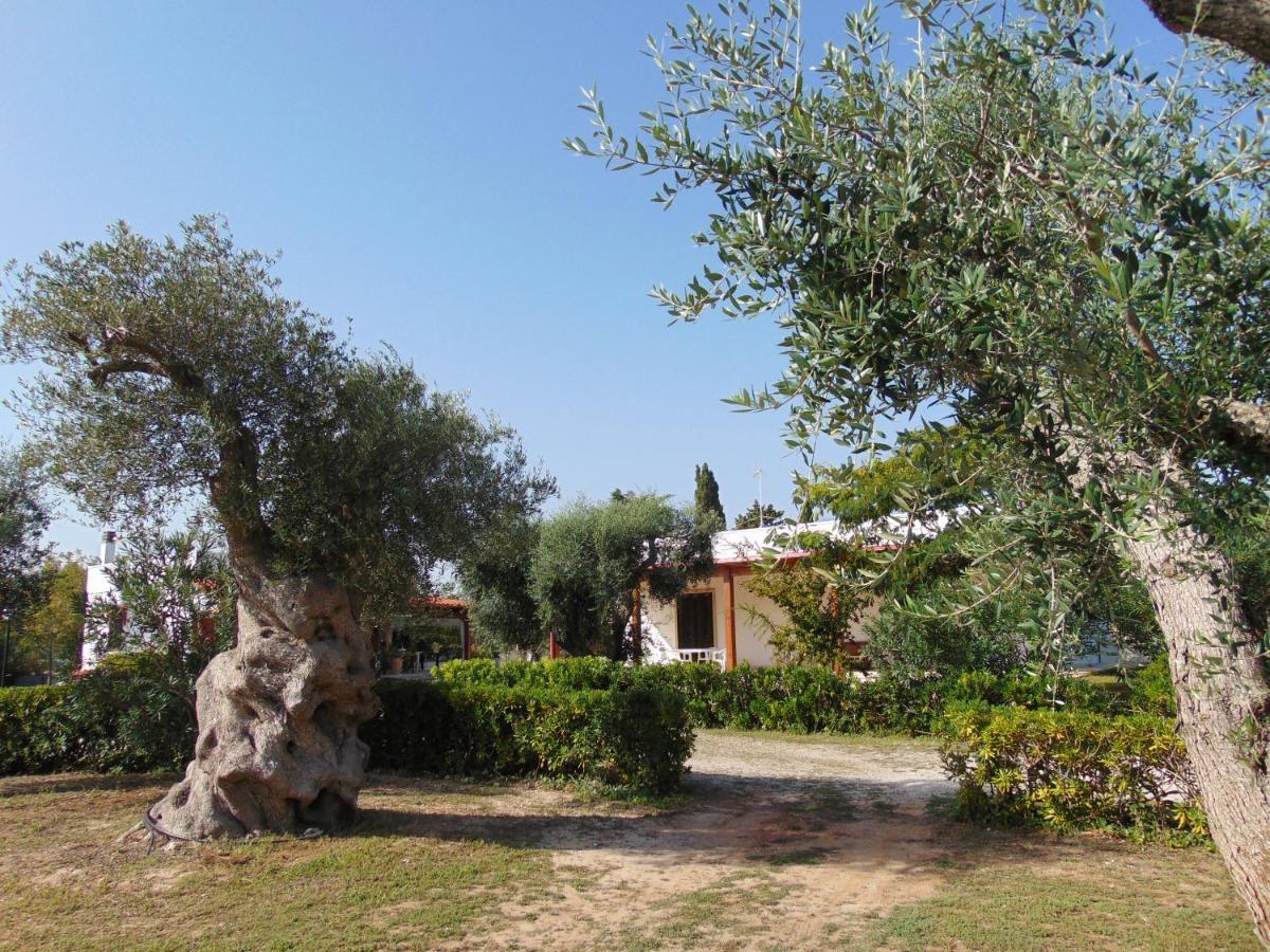 Agriturismo Villa Tommaso ตอร์เรเดลลอร์โซ ภายนอก รูปภาพ