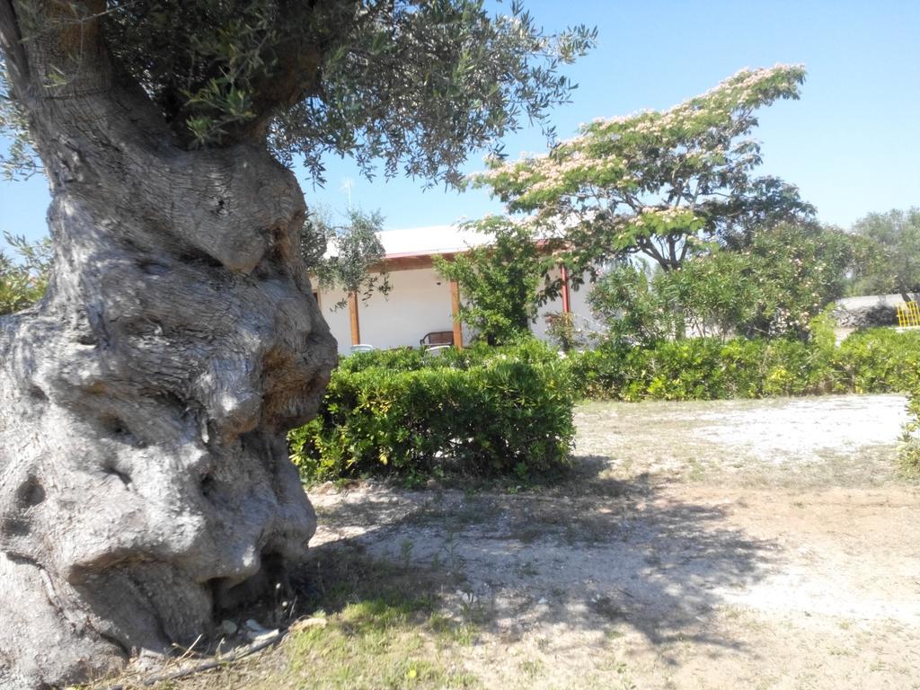 Agriturismo Villa Tommaso ตอร์เรเดลลอร์โซ ภายนอก รูปภาพ