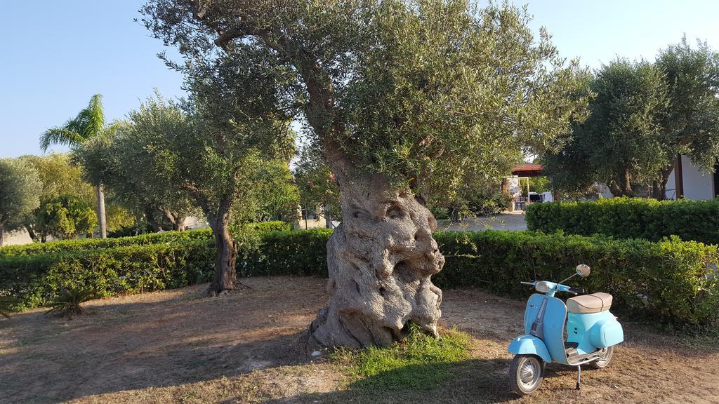 Agriturismo Villa Tommaso ตอร์เรเดลลอร์โซ ภายนอก รูปภาพ