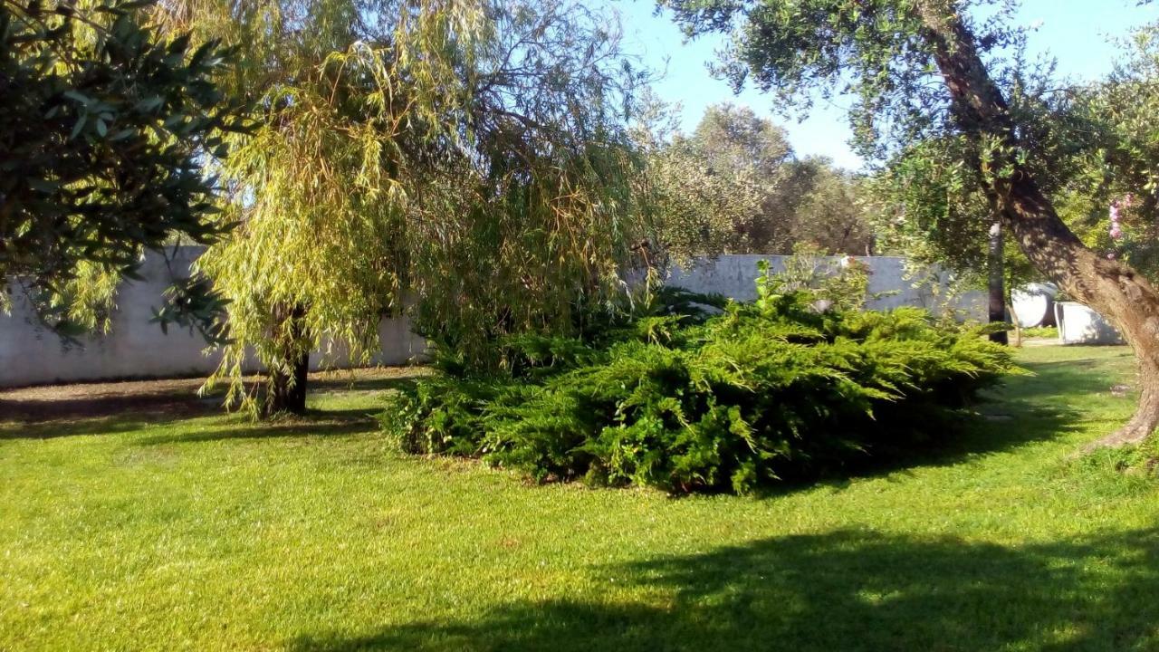 Agriturismo Villa Tommaso ตอร์เรเดลลอร์โซ ภายนอก รูปภาพ